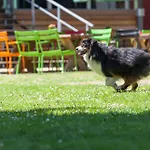 Vue Berg en Terblijt