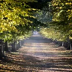 Vue 3* Berg en Terblijt