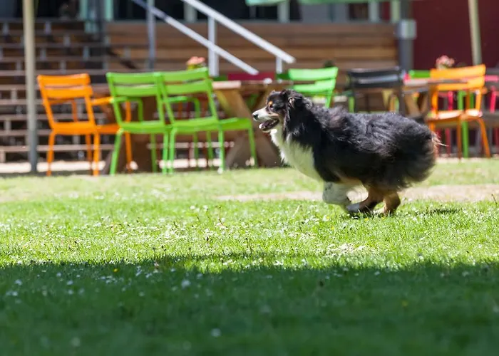 Vue Berg en Terblijt