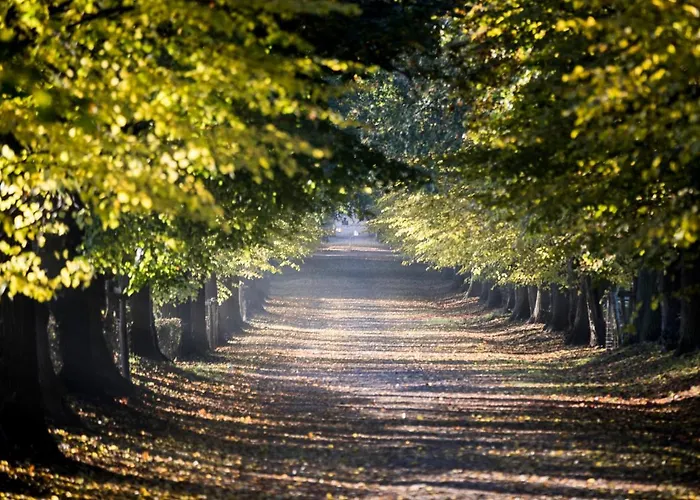 Vue 3* Berg en Terblijt