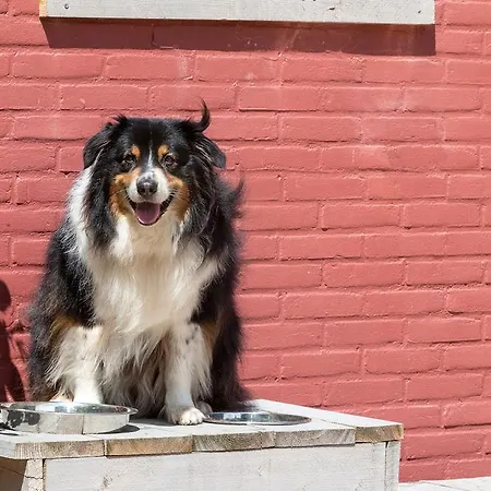 Vue 3* Berg en Terblijt