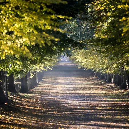 Vue 3* Berg en Terblijt