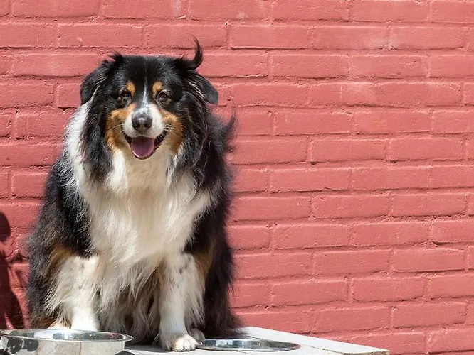 Vue 3* Берг-эн-Терблейт