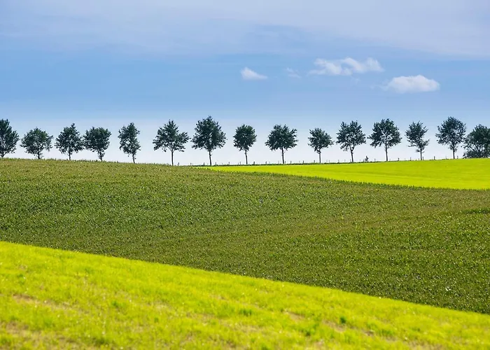 Vue 3* Берг-эн-Терблейт